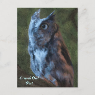 Owl Postcard