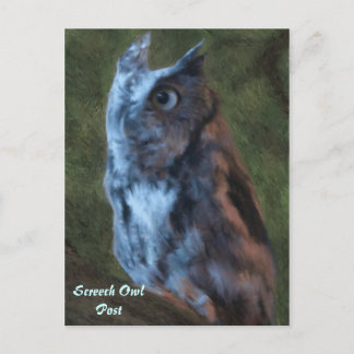 Owl Postcard