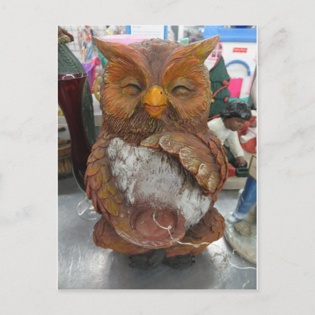 Owl Postcard (Front)
