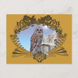 Owl Postcard