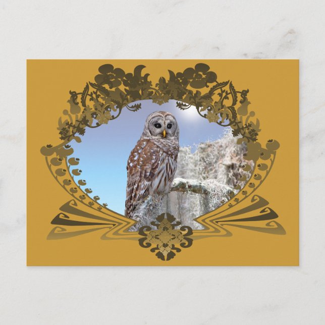 Owl Postcard (Front)