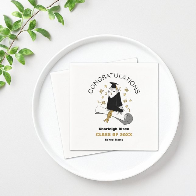 Owl Preschool / Kindergarten Graduation Party Napkin (Creator Uploaded)