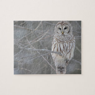 Owl Puzzle