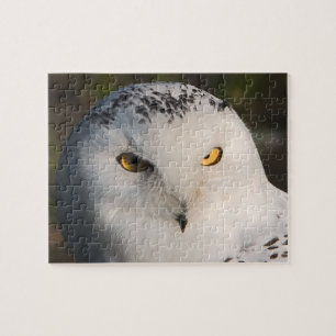 Owl Puzzle