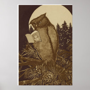 Owl Reading a book by Moonlight Poster