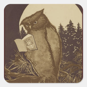 Owl Reading by Moonlight Square Sticker
