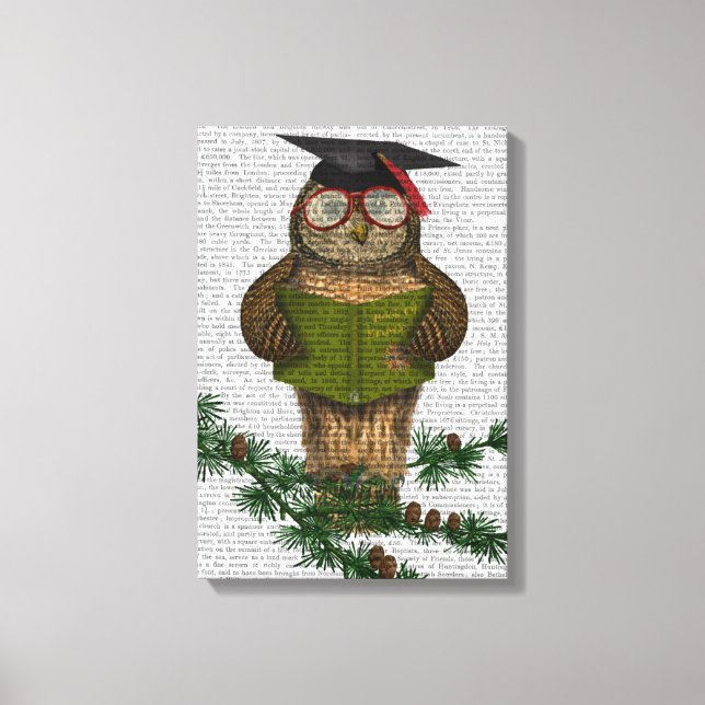 Owl Reading On Branch Canvas Print (Front)