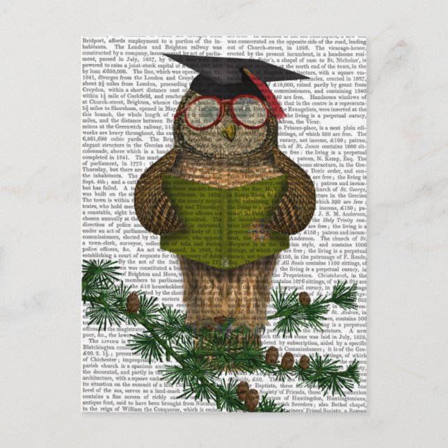 Owl Reading On Branch Postcard (Front)