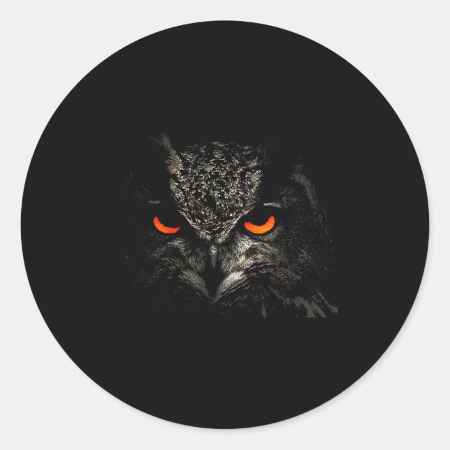 Owl Retro Eye Men Women Kids Gift Apparel  Classic Round Sticker (Front)