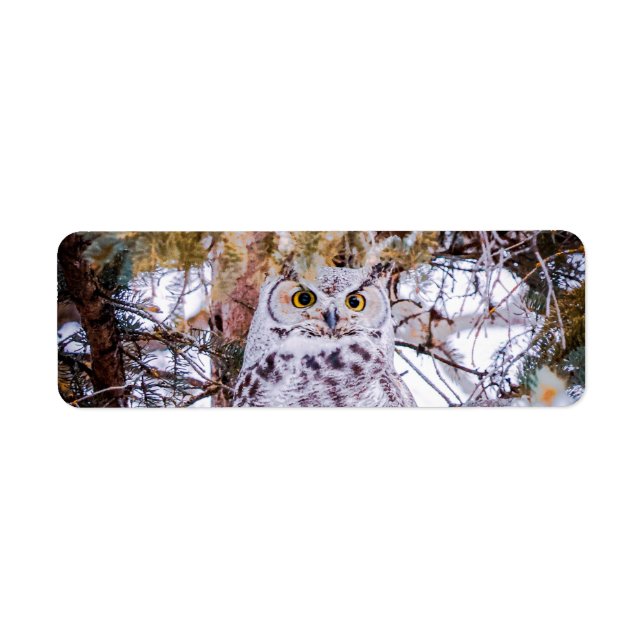 Owl Return Address Label (Front)