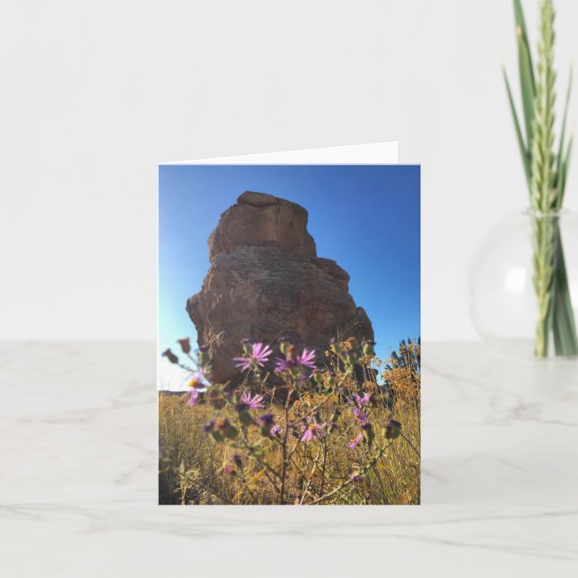 owl rock notecard (blank inside) (Front)