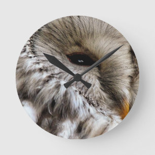 OWL ROUND CLOCK