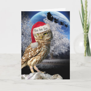 Owl Santa Card
