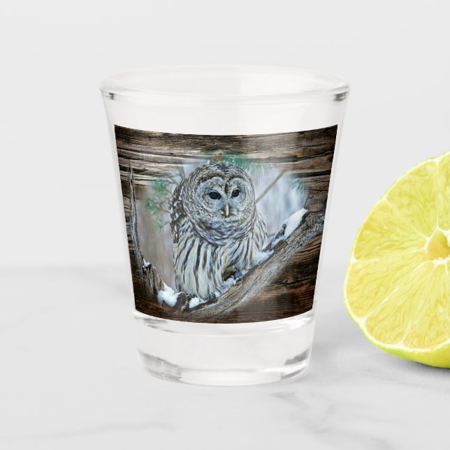 Owl Shot Glass (Front)