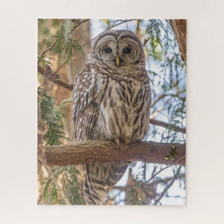 Owl Sitting in Tree Nature Puzzle