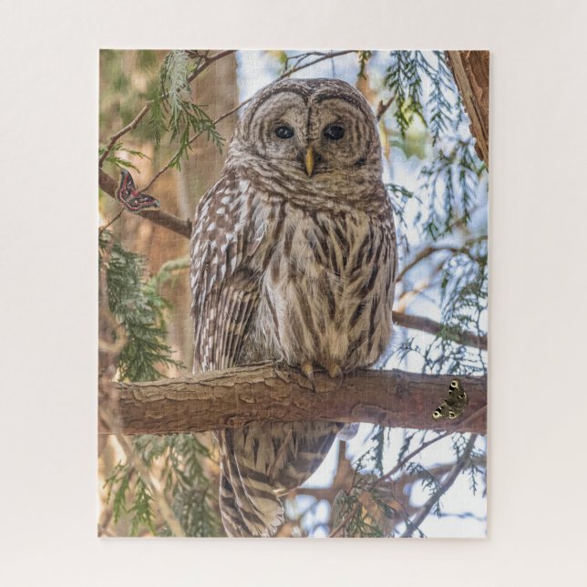Owl Sitting in Tree Nature Puzzle (Vertical)