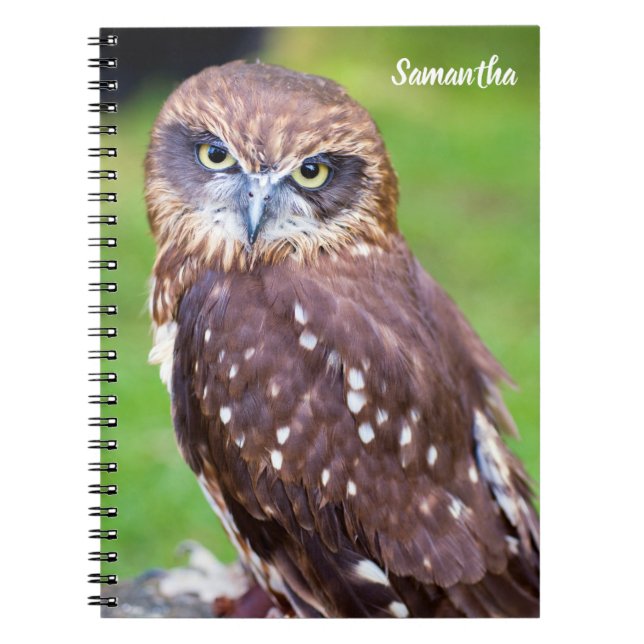 Owl Spiral notebook (Front)