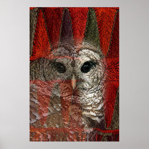 Owl Spirit by Gregory Gallo Poster