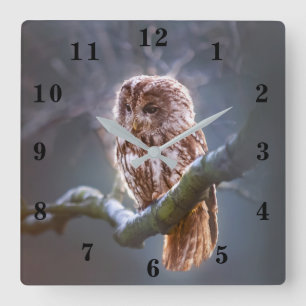 Owl Square Wall Clock