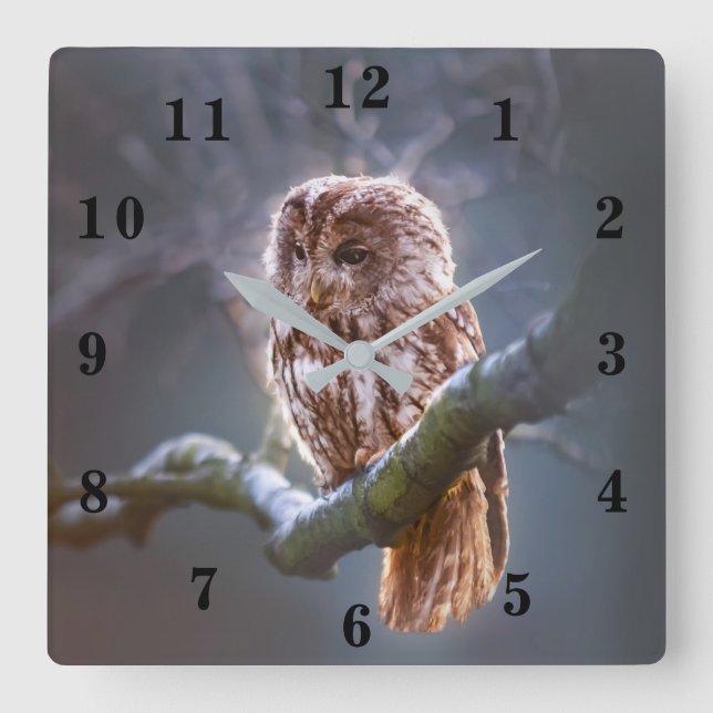 Owl Square Wall Clock (Front)