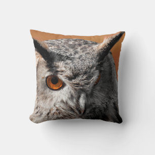 Owl Stare Cushion