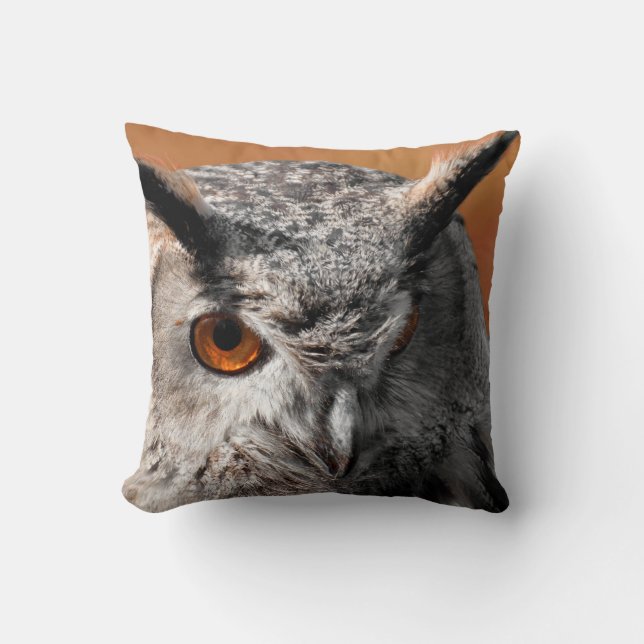 Owl Stare Cushion (Front)