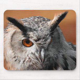 Owl Stare Mouse Mat