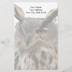 Owl Stationery