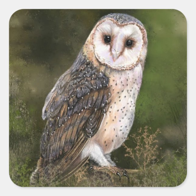 Owl Sticker Gift (Front)