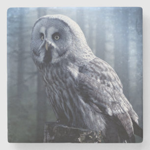Owl Stone Coaster