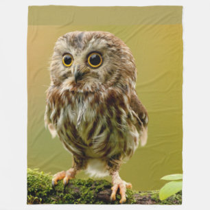 Owl Throw Blanket