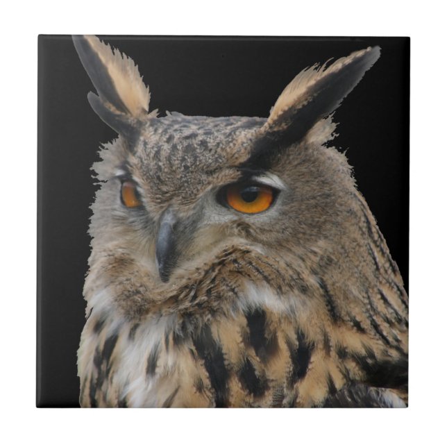 Owl Tile (Front)