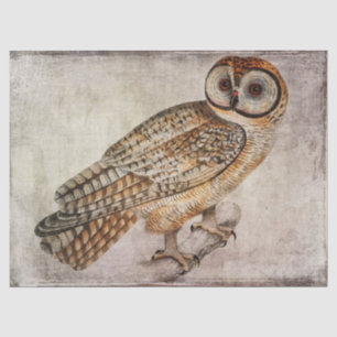 Owl Tissue or Decoupage Paper