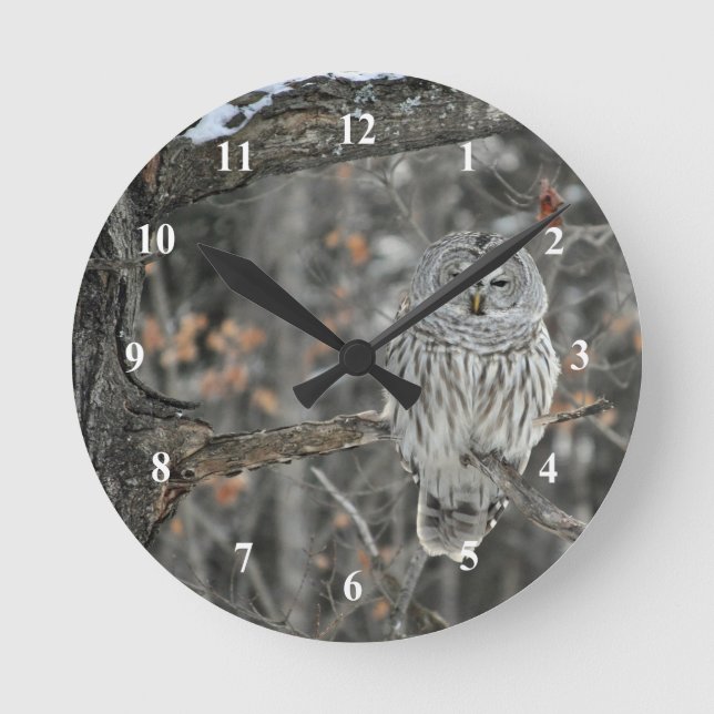 Owl Tree Forest Photo Round Clock (Front)