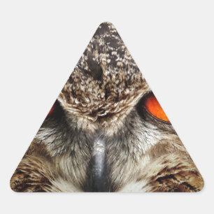 Owl Triangle Sticker