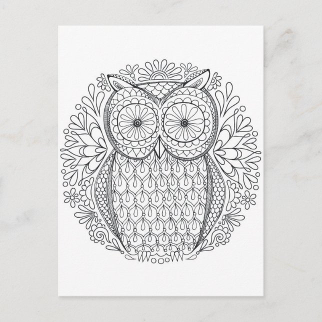 owl two sided adult colouring postcard gift (Front)