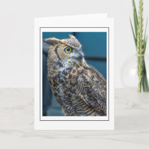 Owl up close greeting card