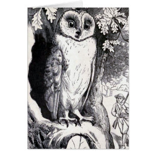 "Owl" Vintage Illustration
