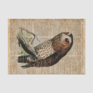 Owl Vintage Illustration Zoology Dictionary Art Tissue Paper