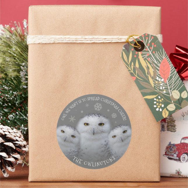 Owl We Want Spread Christmas Cheer Snowy Owls Classic Round Sticker (Holiday)