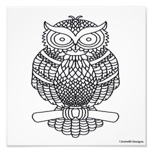 Owl (white) - Photo Print