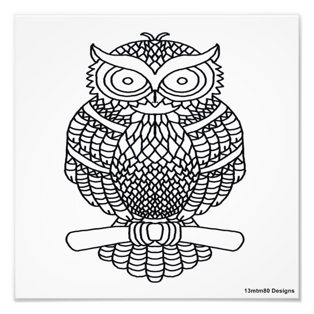 Owl (white) - Photo Print (Front)