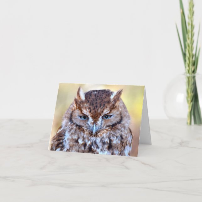 Owl Wise Eyes Greeting Card (Front)