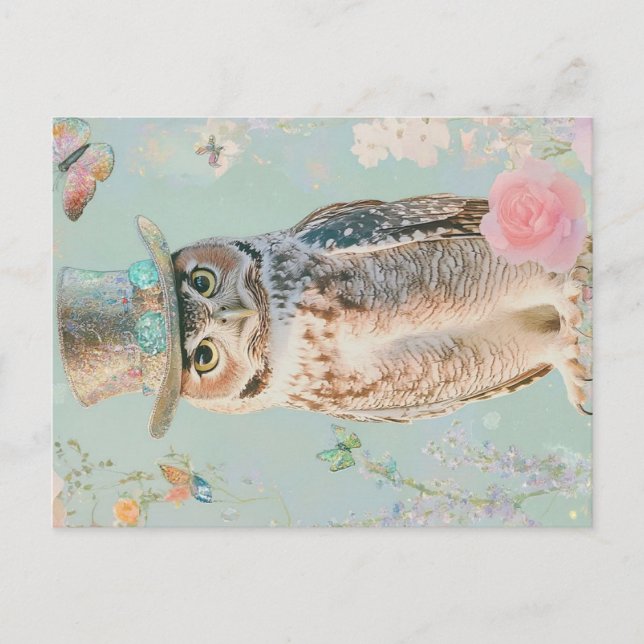 owl with a hat postcard (Front)