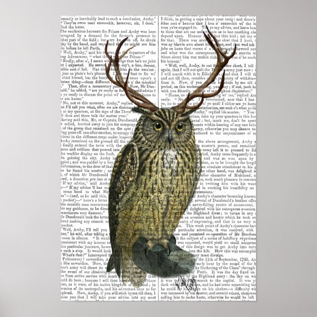Owl with Antlers Poster (Front)