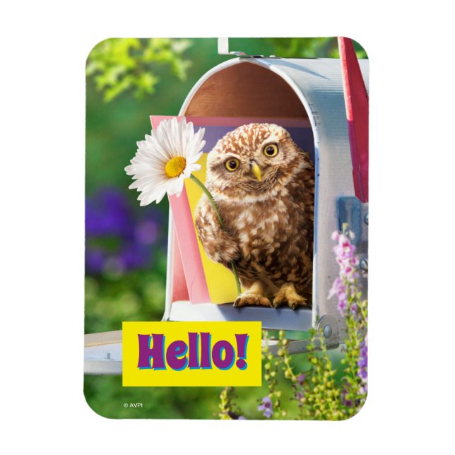 Owl With Flower In Mailbox Magnet (Vertical)