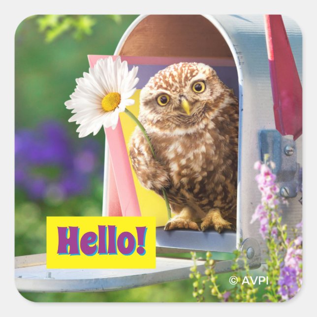 Owl With Flower In Mailbox Square Sticker (Front)