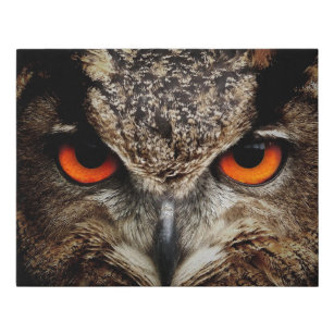 Owl with Orange Eyes Colour Faux Canvas Print