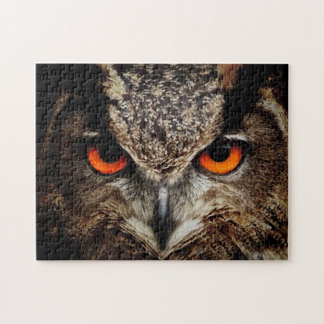 Owl with Orange Eyes Colour Jigsaw Puzzle (Horizontal)