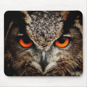 Owl with Orange Eyes Colour Mouse Mat